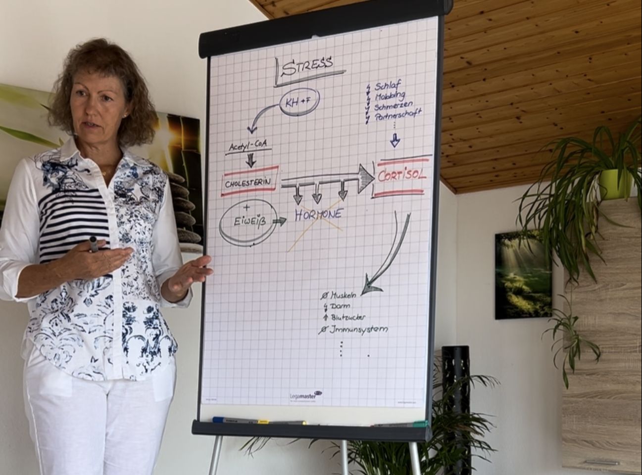 Gesundheitsseminare
