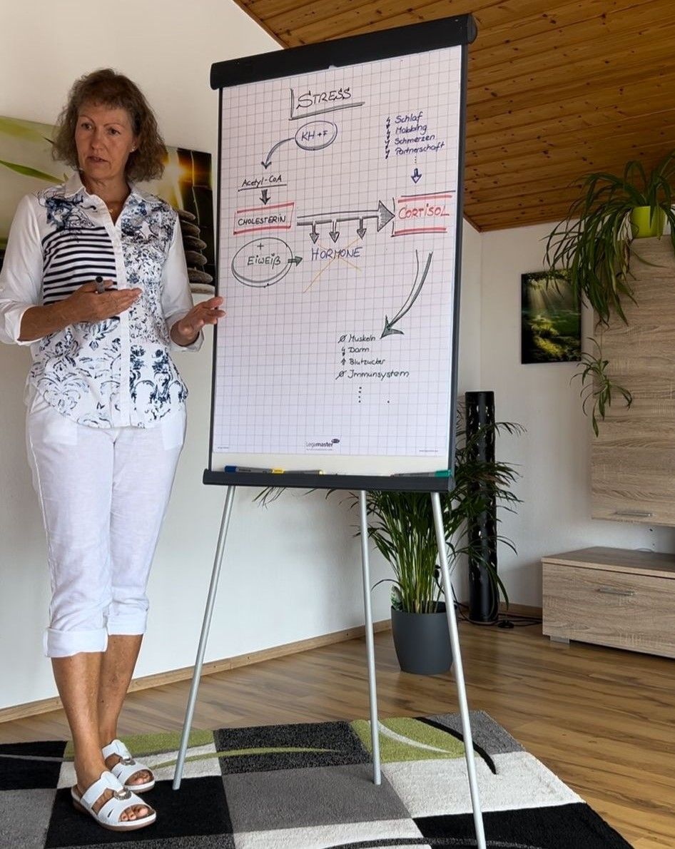 Gesundheitsseminare